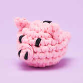 Tiny Piggy Bank Accessory Kit